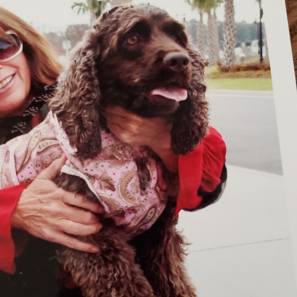 Meet your Posher, Alexandra - Picture 9 of 13